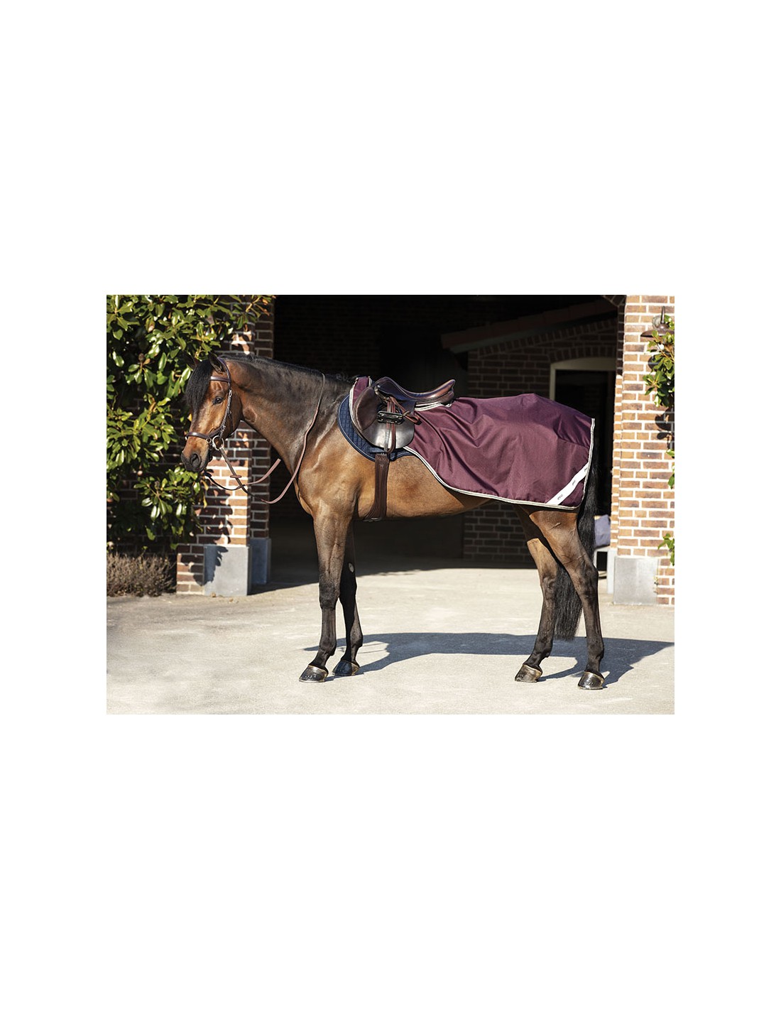 Couvre reins Rambo Horseware - Couvre reins cheval Newmarket