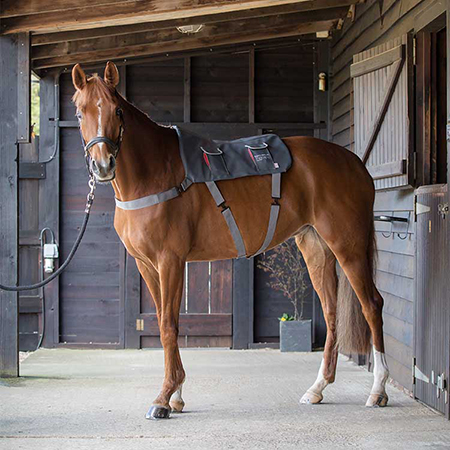 Sac Cabas - Cadance sport equestres - Sellerie instant cheval